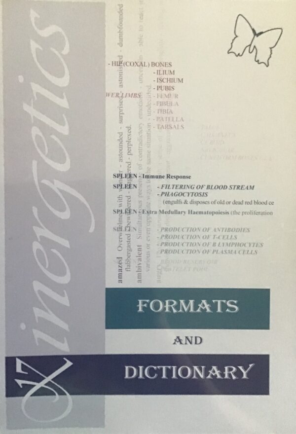 Kinergetics Formats and Dictionary
