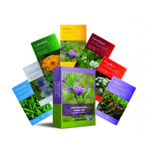 Healing Herbs フラワーエッセンス 木箱入り　ポストカード付 Whispering Herbs Healing Cards | The Kinesiology Bookstore