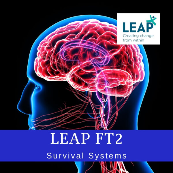 LEAP FT 2