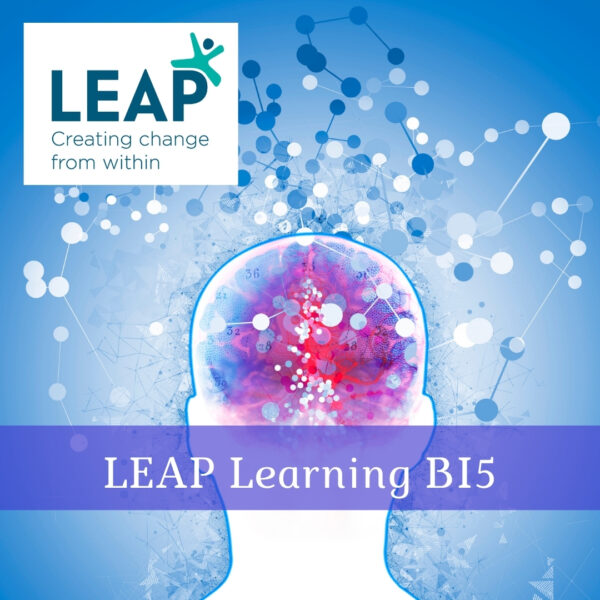 LEAP Learning BI 5
