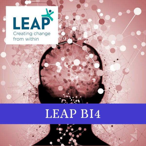 LEAP BI 4