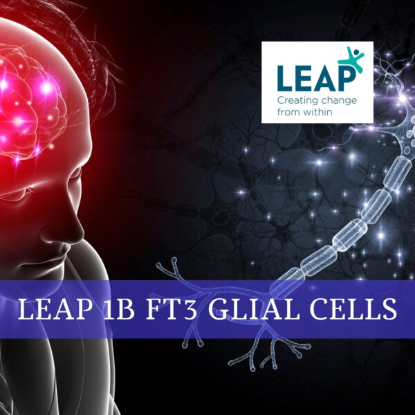 LEAP FT 3