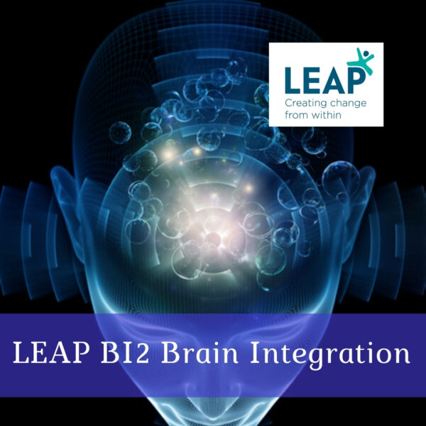 LEAP BI 2
