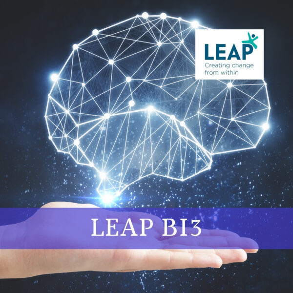 LEAP BI 3