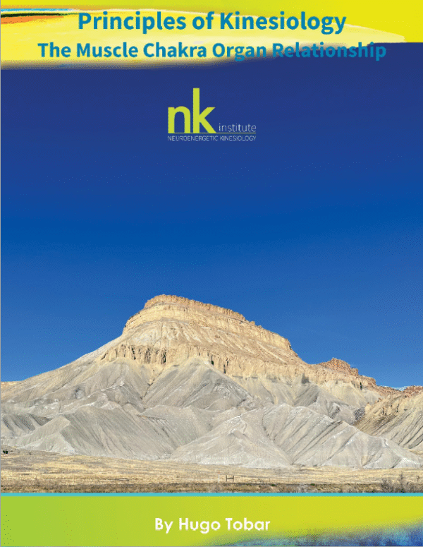 Principles of Kinesiology - The Muscle Chakra Organ Relationship